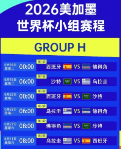 2026世界杯赛场鸟瞰图